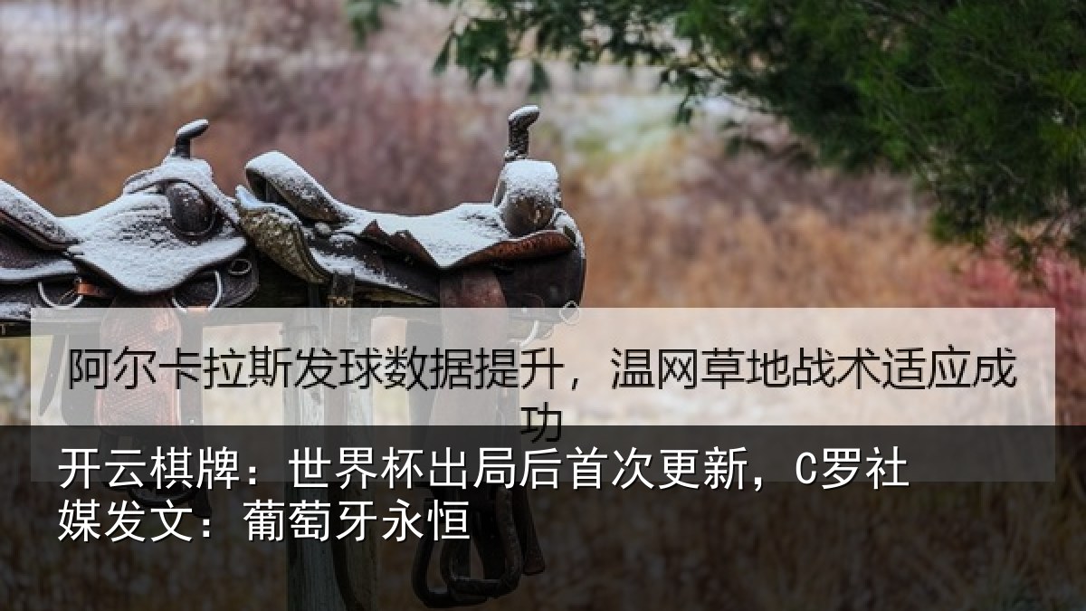 开云棋牌:世界相关情况,C罗社相关情况