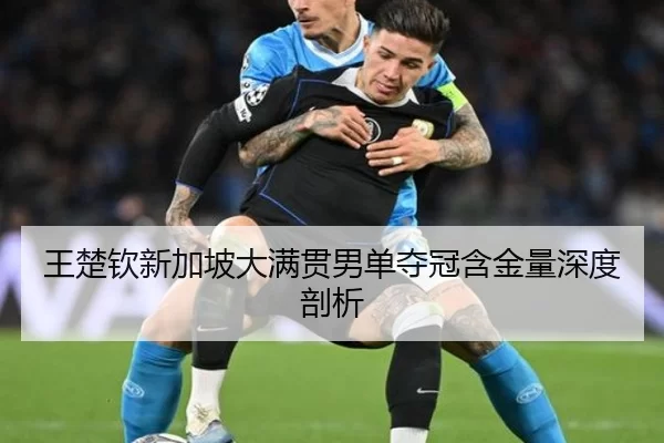 王楚钦新加坡大满贯男单夺冠含金量深度剖析