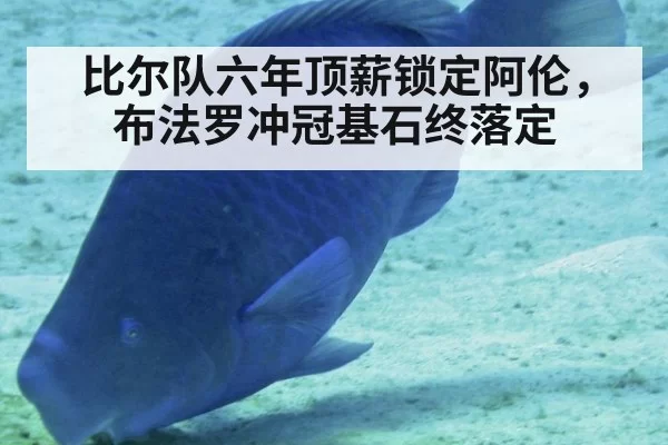 比尔队六年顶薪锁定阿伦,布法罗冲冠基石终落定