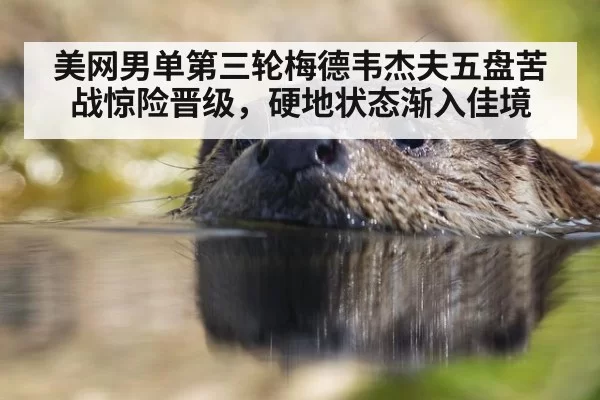 美网男单第三轮梅德韦杰夫五盘苦战惊险晋级,硬地状态渐入佳境